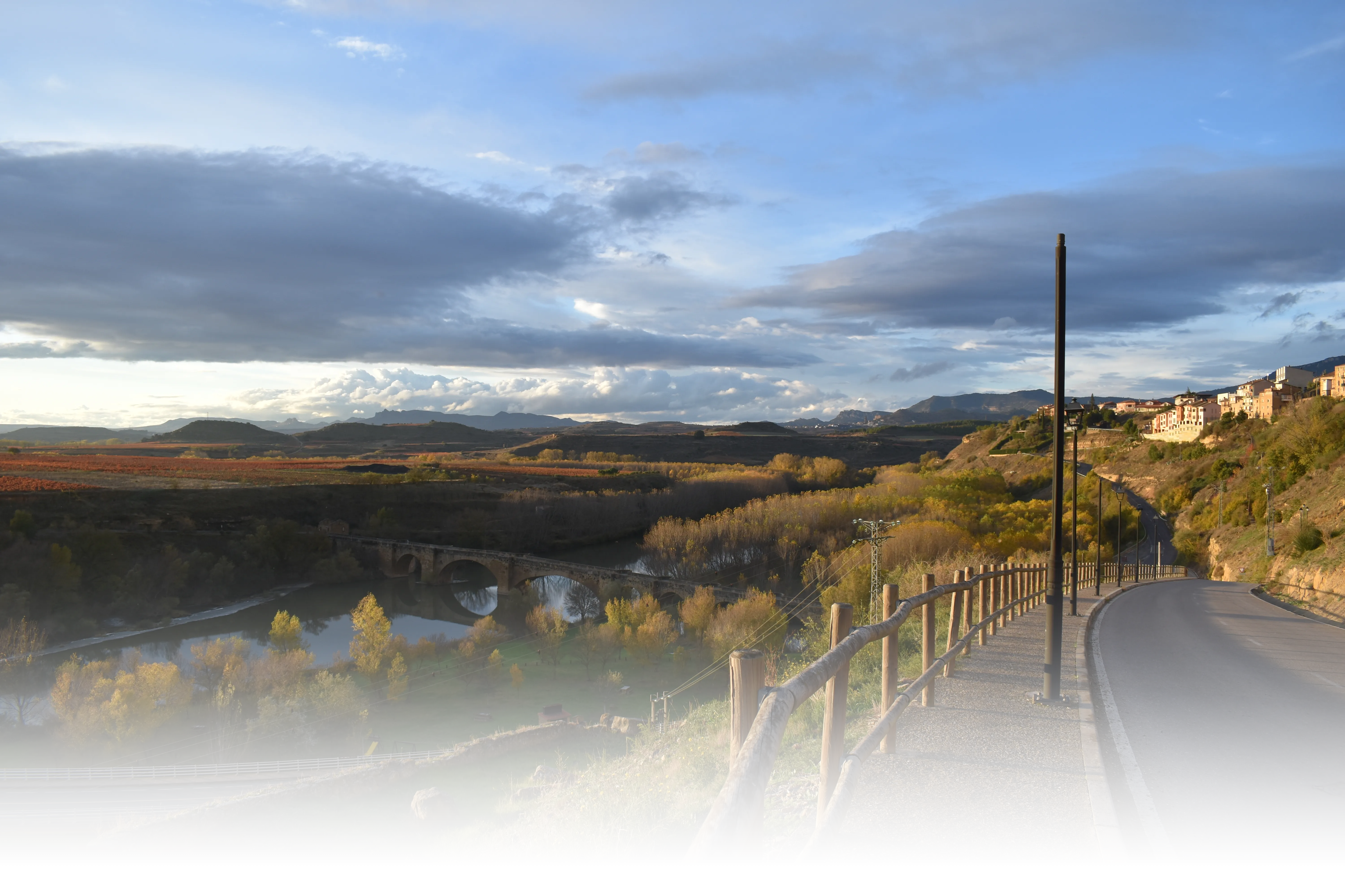 Banner image of the blog